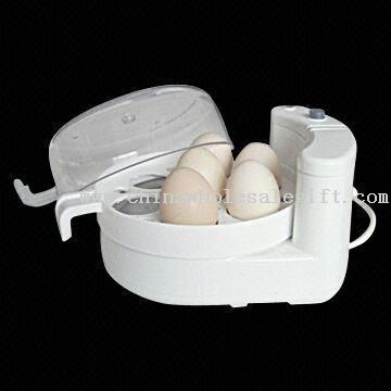 Telur Boiler